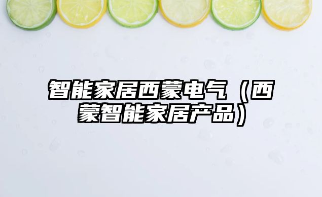 智能家居西蒙電氣（西蒙智能家居產品）