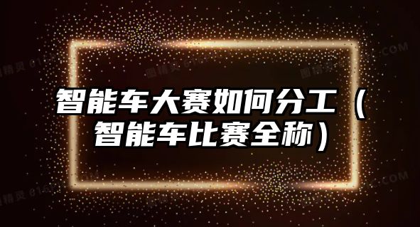智能車大賽如何分工（智能車比賽全稱）