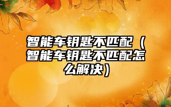 智能車鑰匙不匹配（智能車鑰匙不匹配怎么解決）