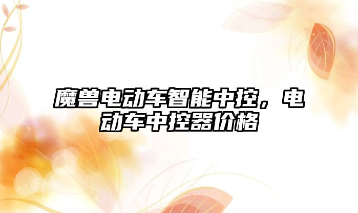 魔獸電動車智能中控，電動車中控器價格