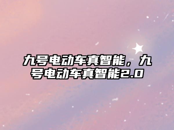 九號電動車真智能，九號電動車真智能2.0