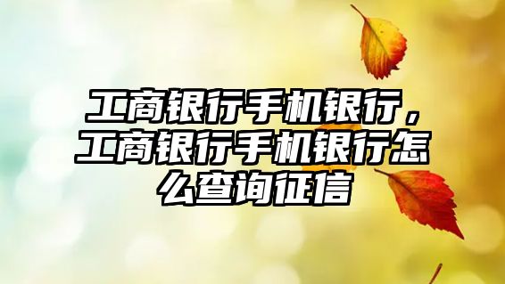 工商銀行手機銀行，工商銀行手機銀行怎么查詢征信