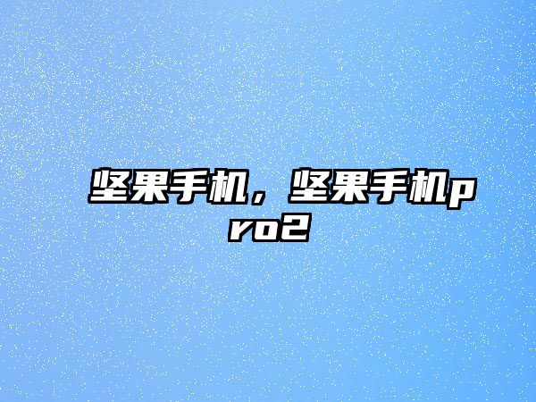 堅果手機，堅果手機pro2