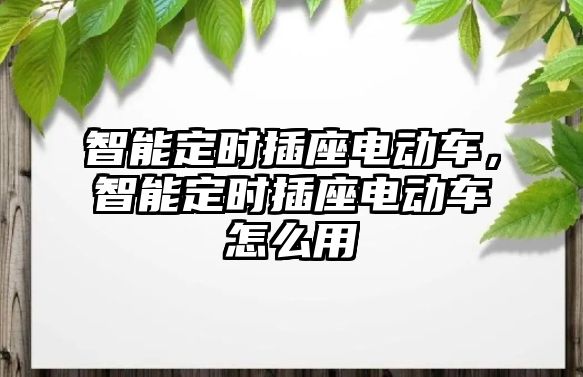 智能定時插座電動車，智能定時插座電動車怎么用