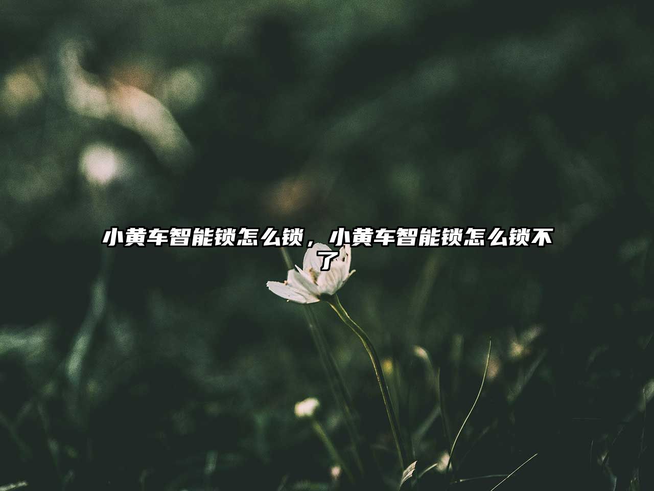 小黃車智能鎖怎么鎖，小黃車智能鎖怎么鎖不了