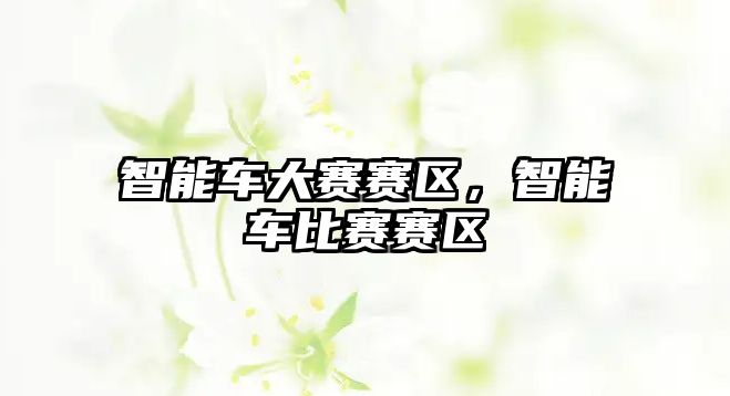 智能車大賽賽區(qū)，智能車比賽賽區(qū)