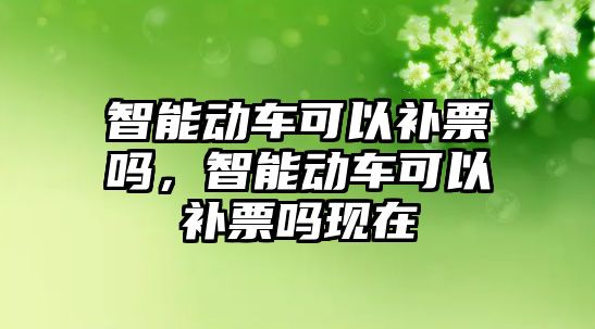 智能動車可以補票嗎，智能動車可以補票嗎現(xiàn)在