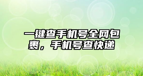 一鍵查手機號全網包裹，手機號查快遞