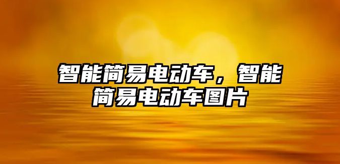 智能簡易電動車，智能簡易電動車圖片