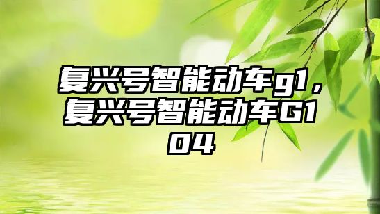 復興號智能動車g1，復興號智能動車G104