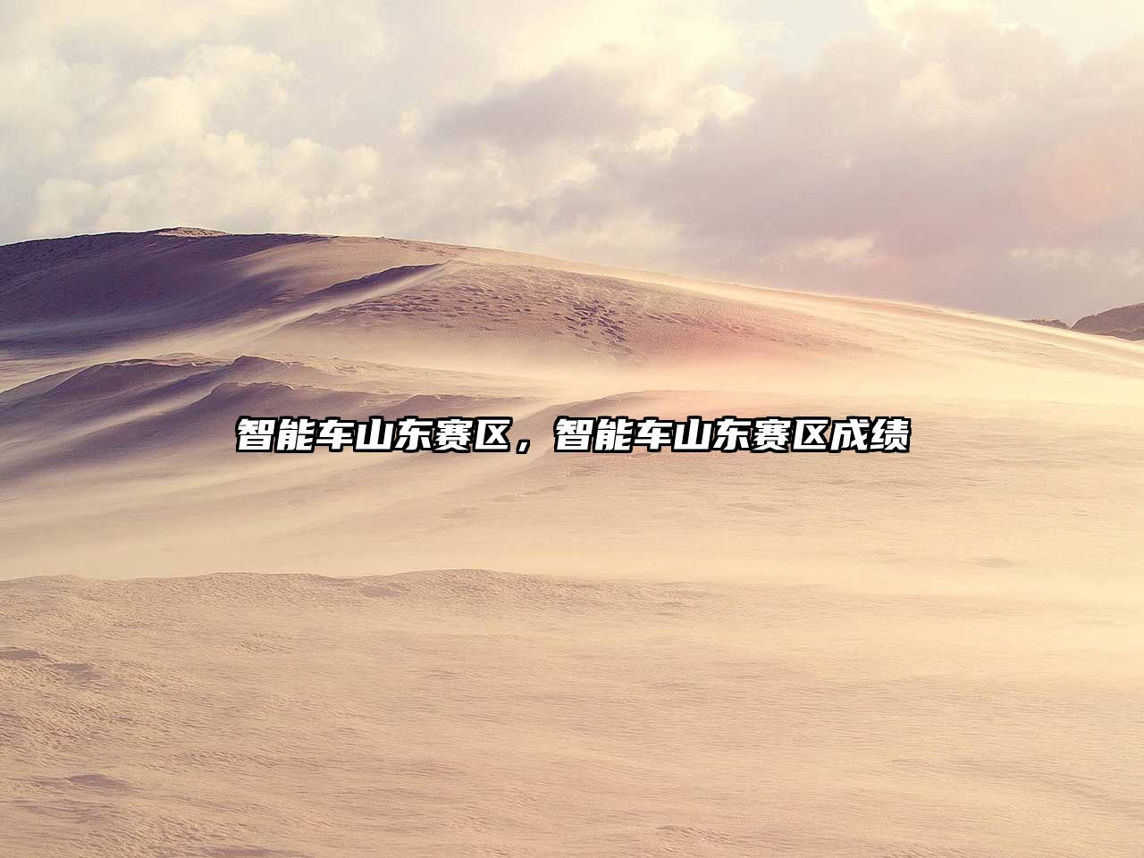 智能車山東賽區，智能車山東賽區成績