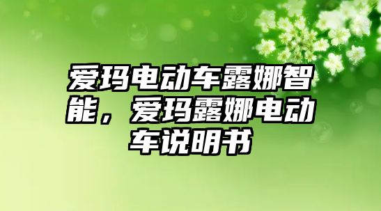 愛瑪電動車露娜智能，愛瑪露娜電動車說明書