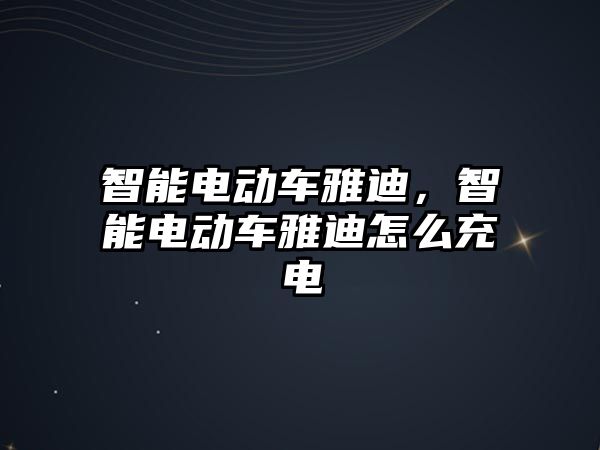 智能電動車雅迪，智能電動車雅迪怎么充電