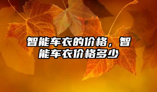 智能車衣的價格，智能車衣價格多少