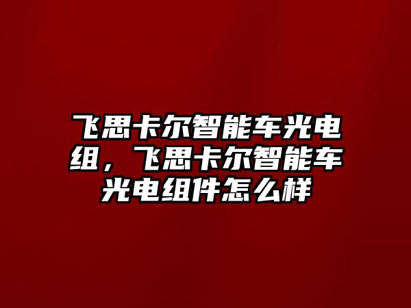 飛思卡爾智能車光電組，飛思卡爾智能車光電組件怎么樣