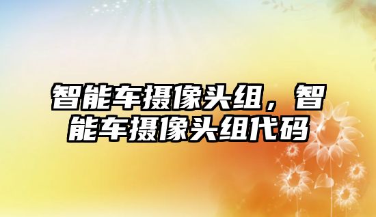 智能車攝像頭組，智能車攝像頭組代碼