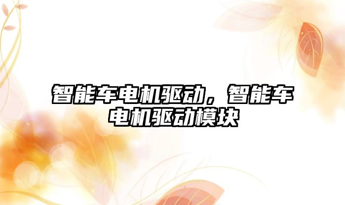 智能車電機驅動，智能車電機驅動模塊