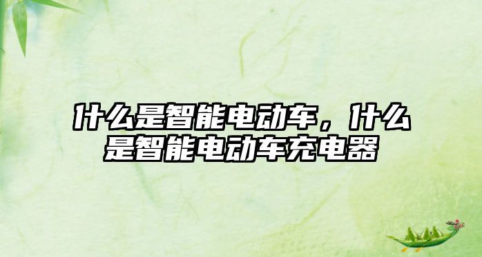 什么是智能電動車，什么是智能電動車充電器