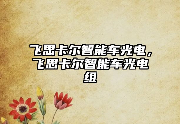 飛思卡爾智能車光電，飛思卡爾智能車光電組