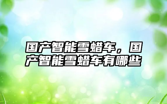 國產智能雪蠟車，國產智能雪蠟車有哪些