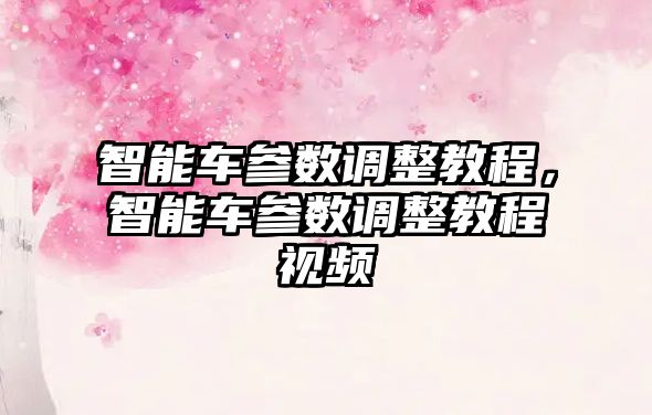智能車參數調整教程，智能車參數調整教程視頻